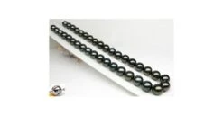 Perle Noire Collier - Perles De Tahiti 10/11mm - Perles De Culture AAA -Maria || Simplicity Soldes UpFiles Image 2008 08 27 633554508384488383