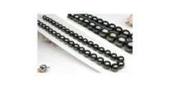 Perle Noire Collier - Perles De Tahiti 10/11mm - Perles De Culture AAA -Maria || Simplicity Soldes UpFiles Image 2008 08 27 633554508481210480