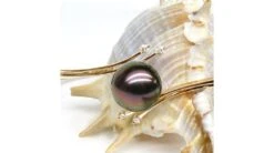 Bracelet Jonc Or Jaune - Perle De Tahiti Noire - 11/11.5mm, Top GEMME -Maria || Simplicity Soldes UpFiles Image 2008 10 10 633592382191284262