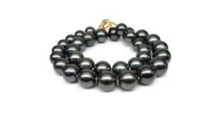 Napoleon Collier Perles Tahiti Noires - Perle De Culture Pacifique - 11/13mm -Maria || Simplicity Soldes UpFiles Image 2009 12 01 633952565497295296
