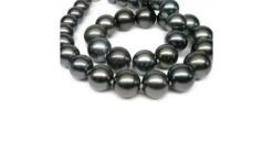 Napoleon Collier Perles Tahiti Noires - Perle De Culture Pacifique - 11/13mm -Maria || Simplicity Soldes UpFiles Image 2009 12 01 633952565585518558