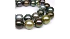 Collier Perle Tahiti - Perles De Culture Multicolores - 12/14mm, AAA -Maria || Simplicity Soldes UpFiles Image 2010 02 08 634012322606708917