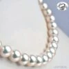 Collier Luxe Haute Joaillerie - Perles Fines Akoya Japon - 9/9.5mm