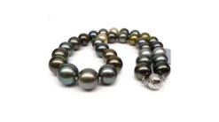 Collier En Perles De Tahiti Multicolores - Perle De Culture - 12/14mm -Maria || Simplicity Soldes UpFiles Image 2010 11 16 634255027474583447