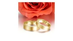 Alliances Couple. Or Jaune. Diamants 0.120ct 8 Alliances Couple. Or Jaune. Diamants 0.120ct -Maria || Simplicity Soldes ady016y 4