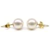 Terra Boucles D'oreilles Perles Eau Douce Blanches - 8/9mm - Clous Or Jaune