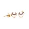 Boucles D'oreilles Perles Akoya Blanches - 7.5/8mm - GEMME - Or Jaune