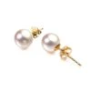 Boucles D'Oreilles Clous. Perles Akoya Gemme. Or Jaune I Aki