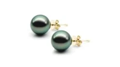 Boucles Oreilles Clous, Or Jaune - Perles De Tahiti Noires, Orient Vert - 9/10mm - GEMME