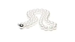 Collier Perles Fines - Collier Perle Akoya Blanche Japon - 7.5/8mm