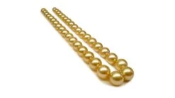 Collier Perles D'Australie Dorées - Grosses Perles 10/12mm - AAA