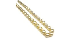 Collier Perles D'Australie Dorées - 9/11mm - AAA