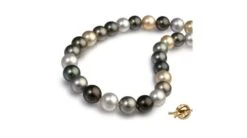 Collier Perles Des Mers Du Sud Multicolores - 10/13mm - AAA
