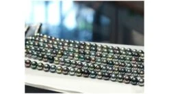 Collier En Perles Multicolores De Tahiti - 9/11mm, AAA -Maria || Simplicity Soldes ntp07185 7