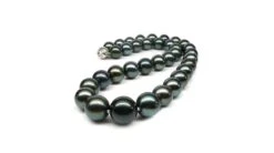 Collier En Perles Noires De Tahiti - 11/13mm, AAB -Maria || Simplicity Soldes ntp103 3