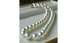 Collier De Perles D'Australie Blanches - Perle Mers Du Sud 10/12mm -Maria || Simplicity Soldes tb2ewyafuusbunjssplxxbe8pxa 1521530