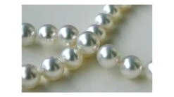 Collier De Perles D'Australie Blanches - Perle Mers Du Sud 10/12mm -Maria || Simplicity Soldes tb2fvzvfv5tbunjsspmxxadrvxa 1521530
